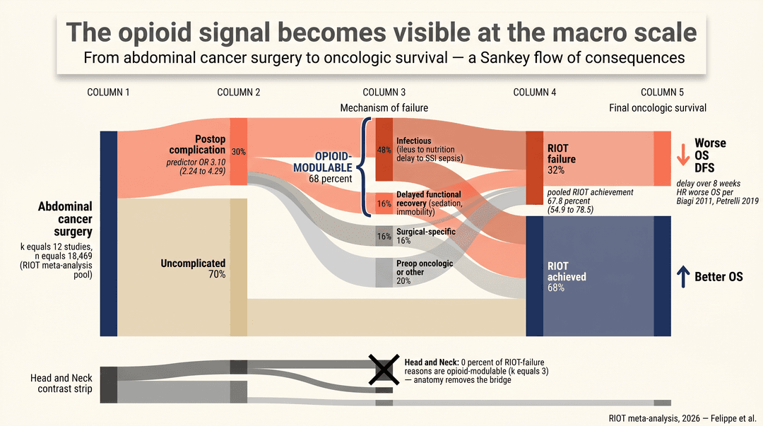 Sankey flow diagram showing data moving between stages